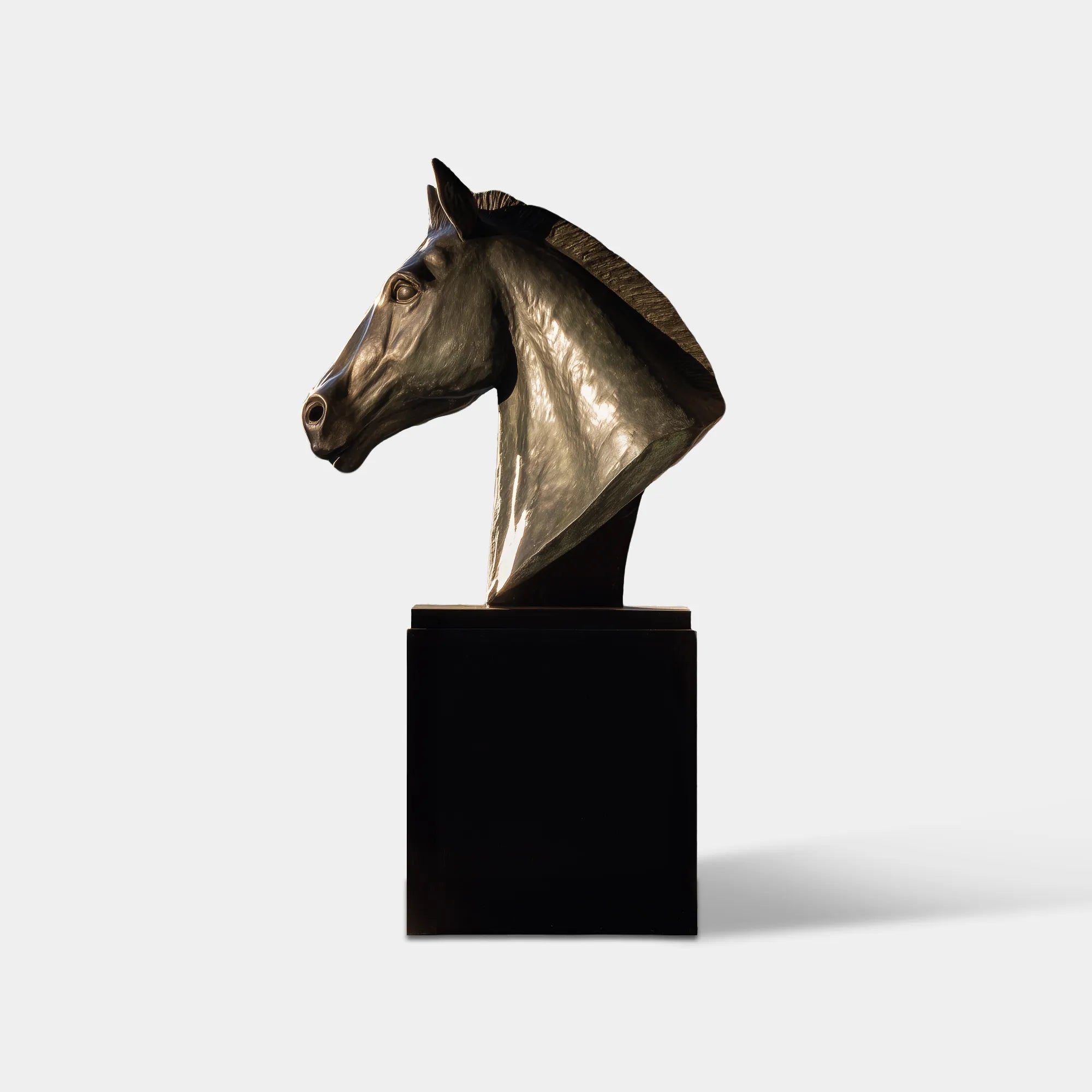 DVS Bronze Horse Head Statue for Estate Entrance and Luxury Courtyard DB092