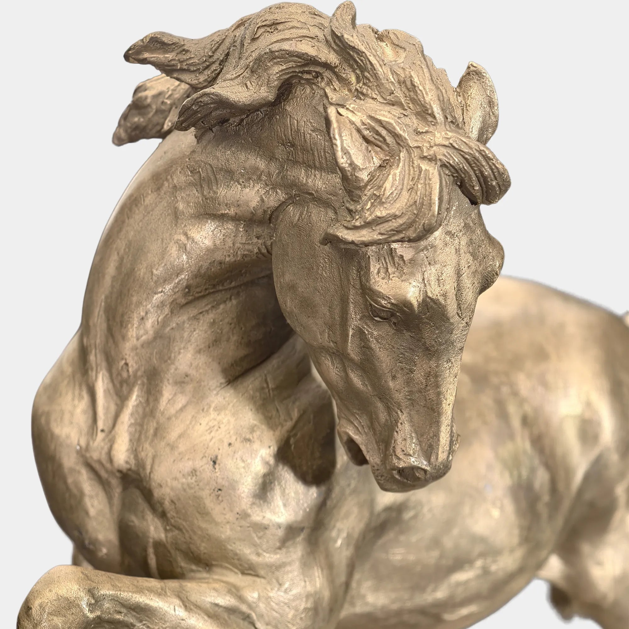 Bronze rearing horse statue on a rock base in grassy field with trees.