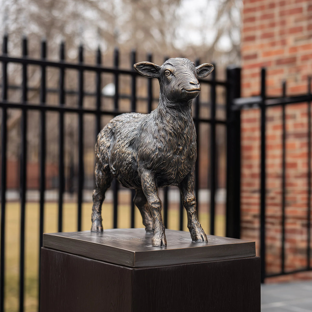 Standing dark bronze lamb sculpture with detailed wool texture, upright ears in an outdoor courtyard
