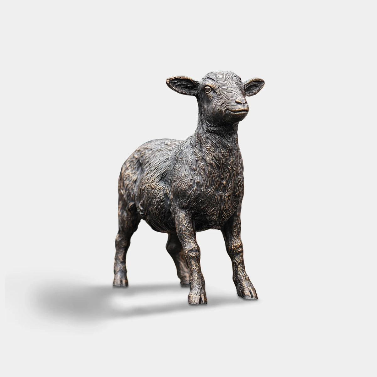 Standing dark bronze lamb sculpture with detailed wool texture, upright ears in an outdoor courtyard
