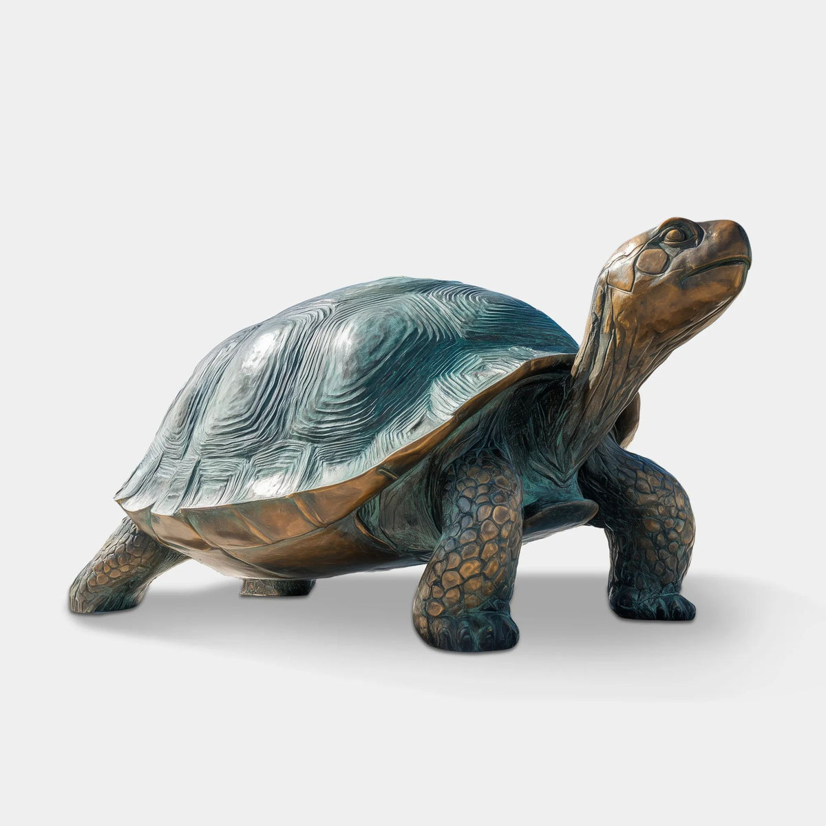 Large Bronze Tortoise Statue Textured Scaly Legs, Detailed Head, and Raised Neck in a Natural Walking Pose