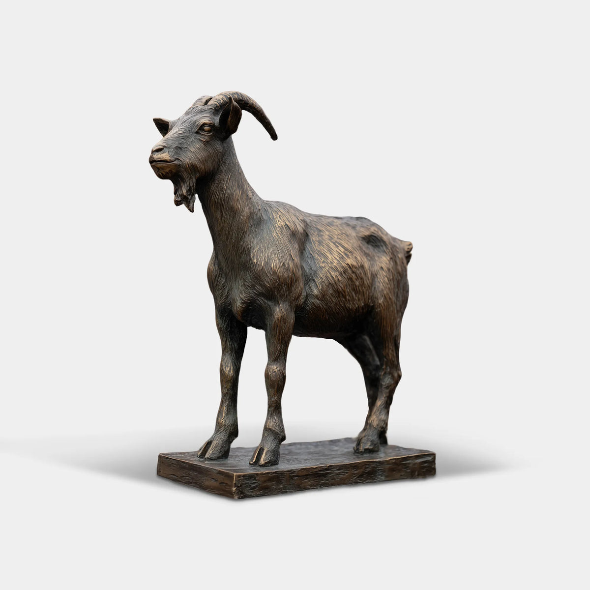 Dark Bronze Goat Statue with Curved Horns, Detailed Beard, Textured Fur, and Natural Standing Pose