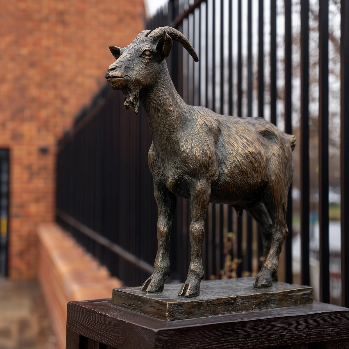 Dark Bronze Goat Statue with Curved Horns, Detailed Beard, Textured Fur, and Natural Standing Pose on a Rectangular Base