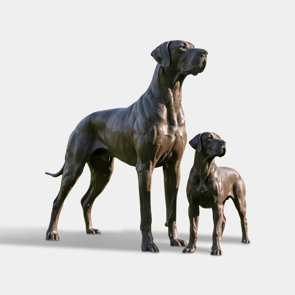 Bronze Great Dane Statue Featuring Two Standing Dogs, One Adult and One Younger Dog, with Detailed Muscular Bodies, Long Legs, Broad Chests, and Expressive Faces